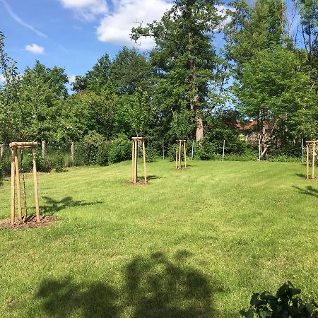 Ferienhaus An Der Selke Meisdorf ภายนอก รูปภาพ