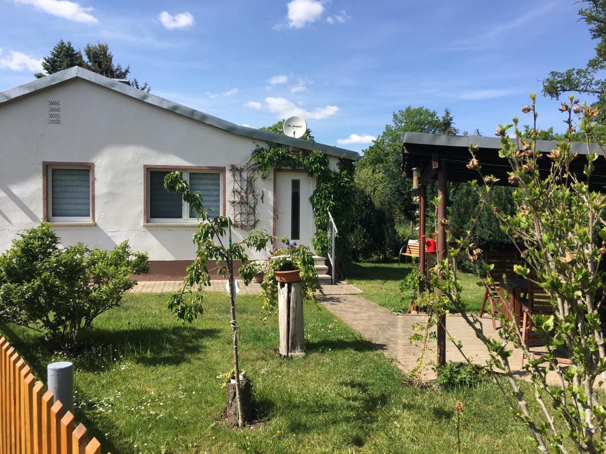 Ferienhaus An Der Selke Meisdorf ภายนอก รูปภาพ